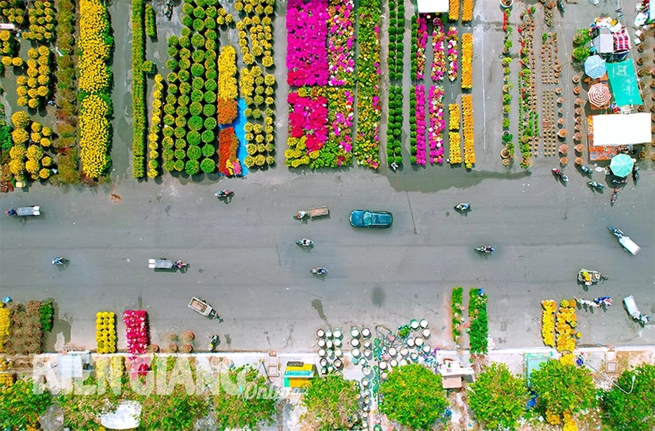 Nhìn từ trên cao, chợ hoa quảng trường Trần Quảng Khải (TP. Rạch Giá) rực rỡ sắc màu. Ảnh: TÂY HỒ